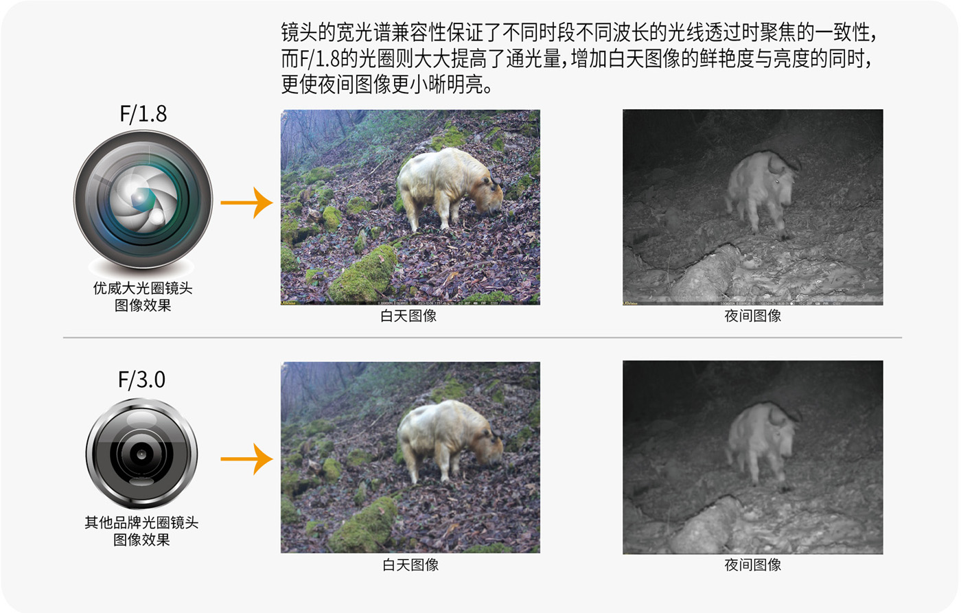 1713782994851056.jpg 光圈鏡頭-01-01.jpg