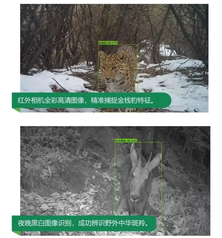 1757039175944635.png wechat_2025-09-05_101358_980.png